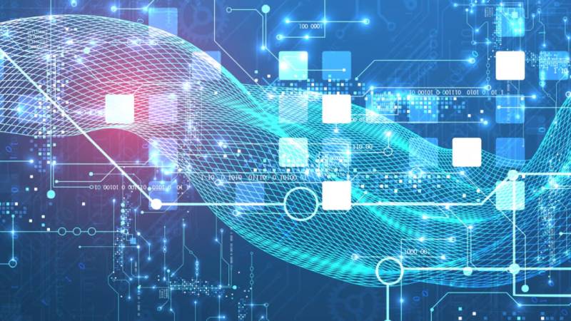 网站定制开发
